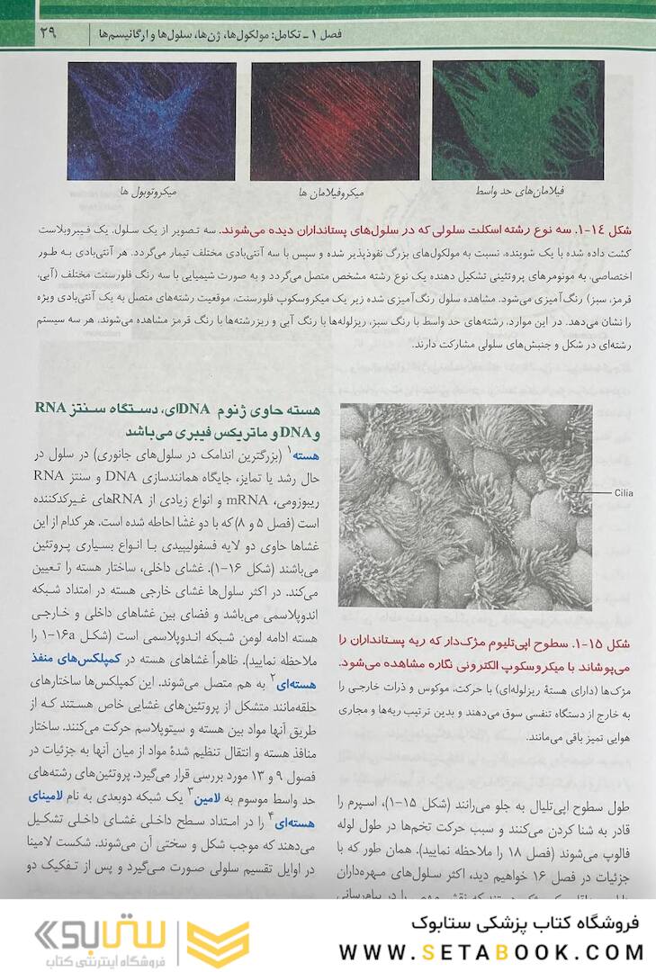 زیست شناسی سلولی مولکولی لودیش 2021 جلد 1