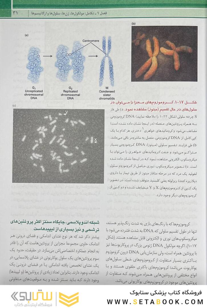 زیست شناسی سلولی مولکولی لودیش 2021 جلد 1