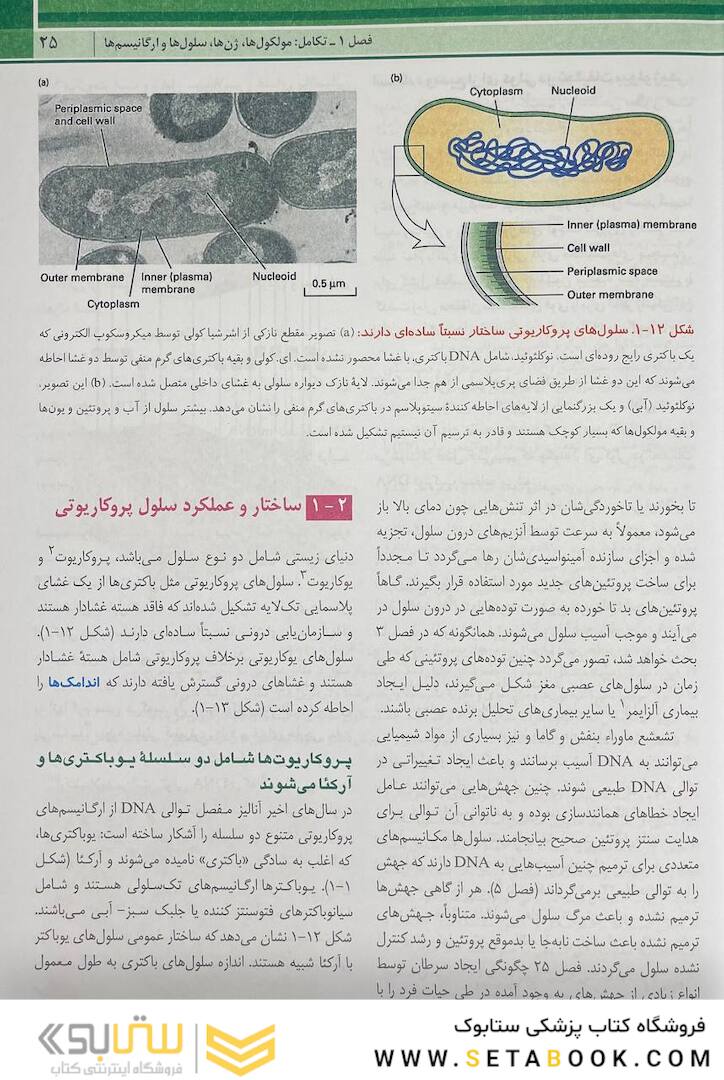 زیست شناسی سلولی مولکولی لودیش 2021 جلد 1