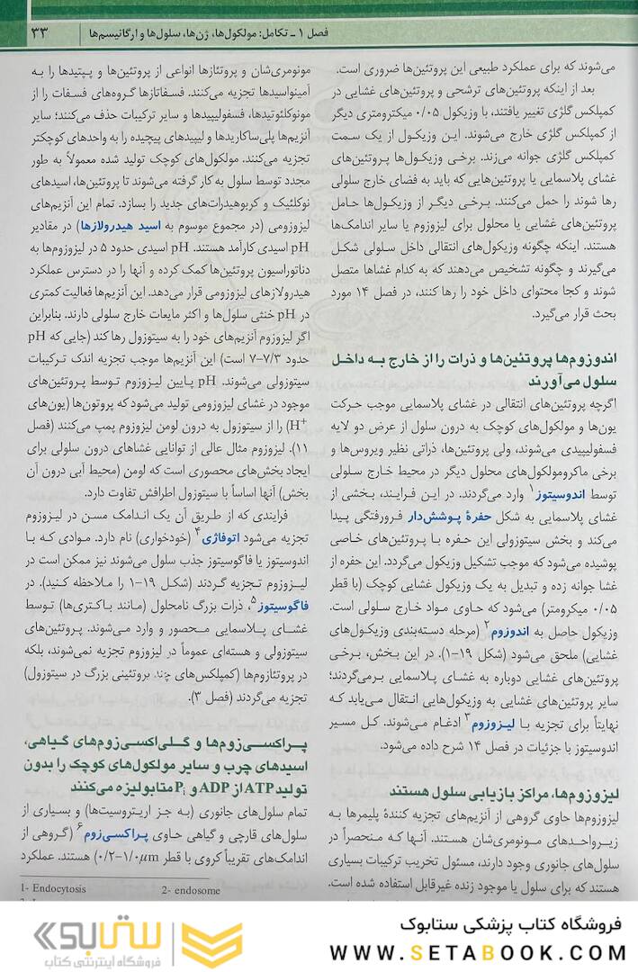 زیست شناسی سلولی مولکولی لودیش 2021 جلد 1