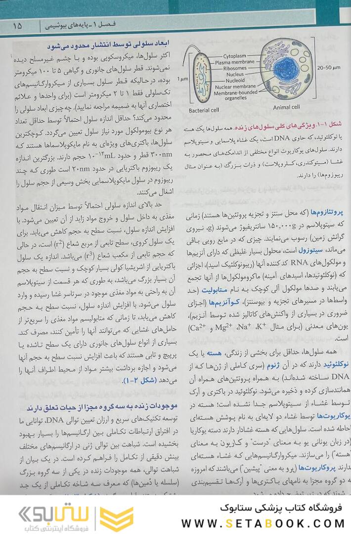 اصول بیوشیمی لنینجر 2021 ویرایش هشتم 5 استاد جلد اول