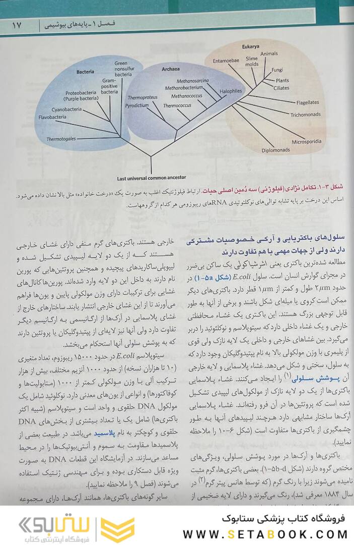 اصول بیوشیمی لنینجر 2021 ویرایش هشتم 5 استاد جلد اول