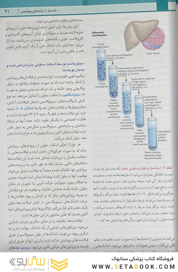 اصول بیوشیمی لنینجر 2021 ویرایش هشتم 5 استاد جلد اول