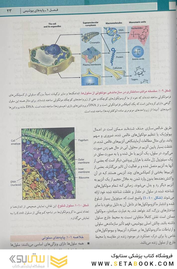 اصول بیوشیمی لنینجر 2021 ویرایش هشتم 5 استاد جلد اول