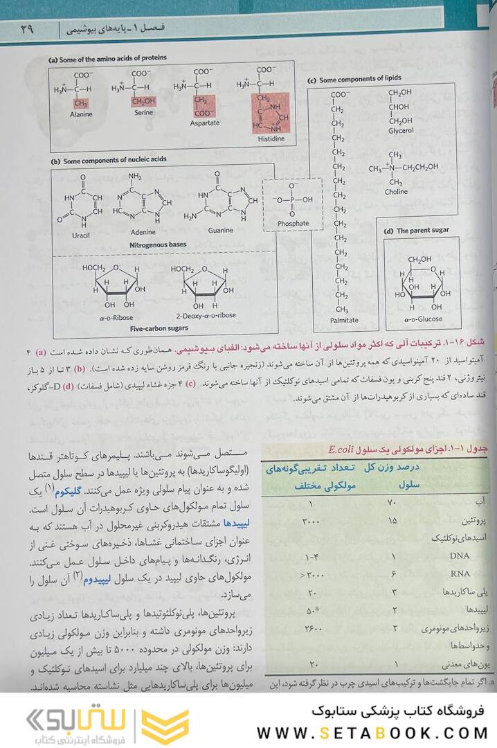 اصول بیوشیمی لنینجر 2021 ویرایش هشتم 5 استاد جلد اول