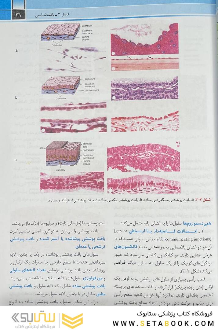 اصول بیوشیمی لنینجر 2021 ویرایش هشتم 5 استاد جلد دوم