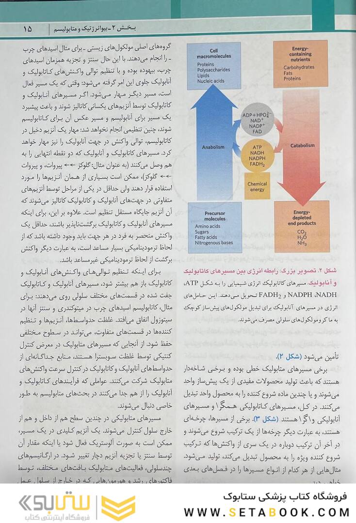 اصول بیوشیمی لنینجر 2021 ویرایش هشتم 5 استاد جلد دوم