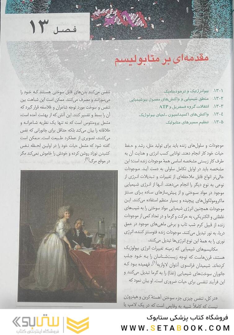 اصول بیوشیمی لنینجر 2021 ویرایش هشتم 5 استاد جلد دوم