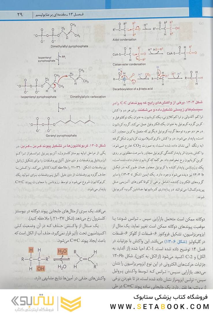 اصول بیوشیمی لنینجر 2021 ویرایش هشتم 5 استاد جلد دوم