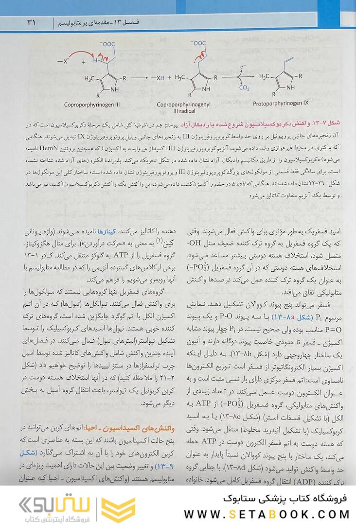 اصول بیوشیمی لنینجر 2021 ویرایش هشتم 5 استاد جلد دوم