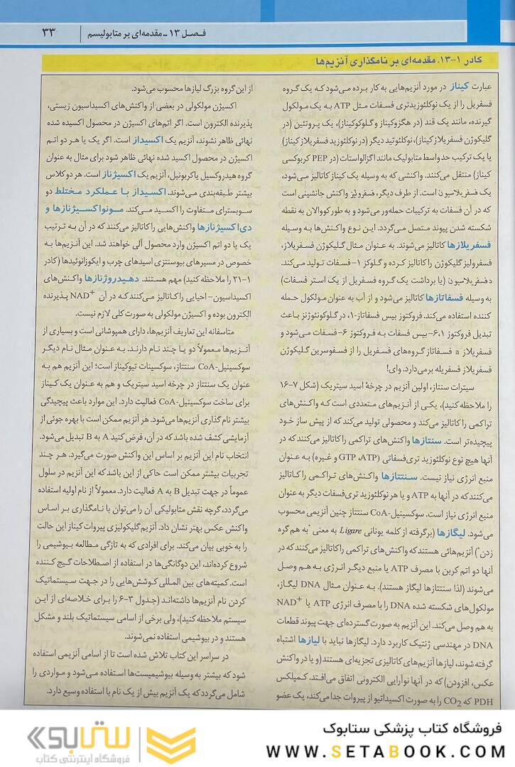 اصول بیوشیمی لنینجر 2021 ویرایش هشتم 5 استاد جلد دوم