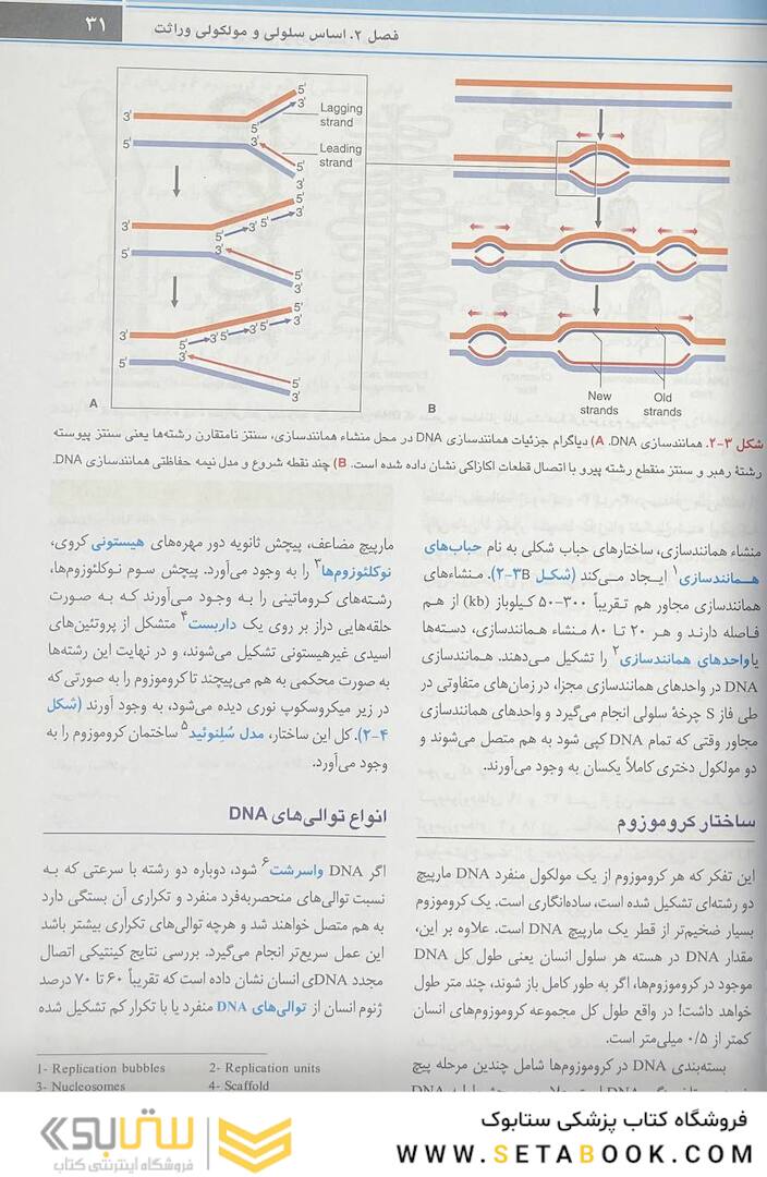 اصول ژنتیک پزشکی و ژنومیکس امری 2022