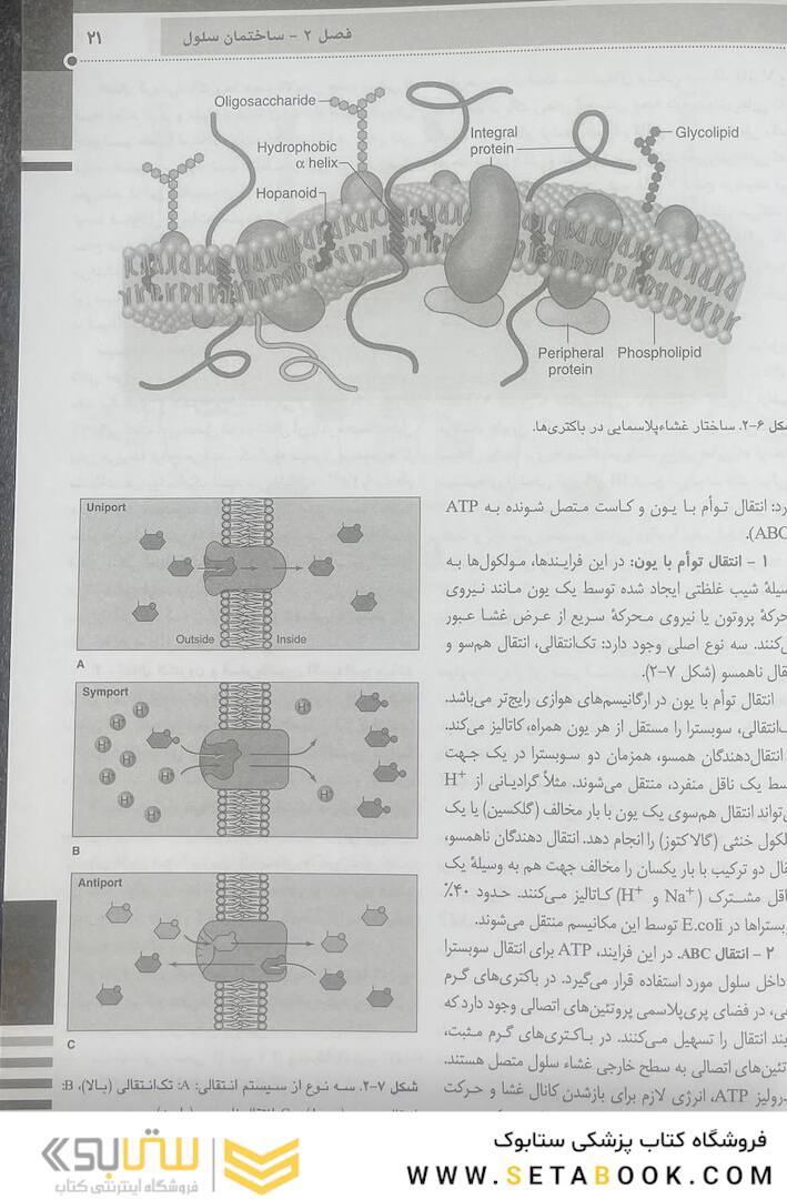 QR خلاصه میکروب شناسی پزشکی جاوتز 2019