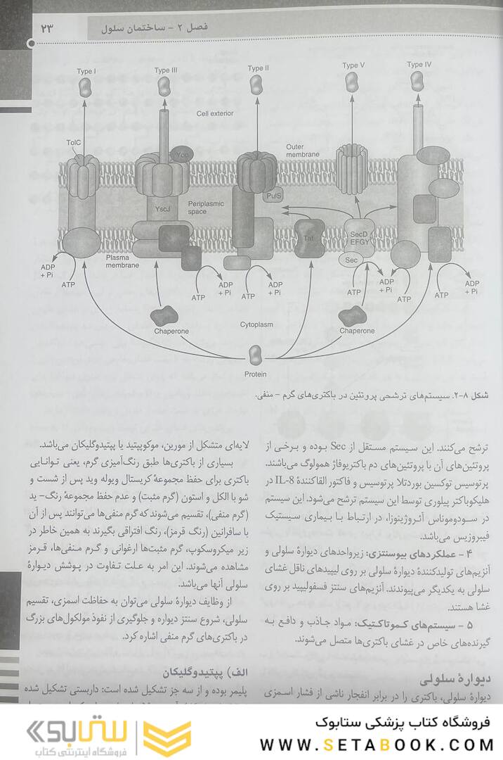 QR خلاصه میکروب شناسی پزشکی جاوتز 2019