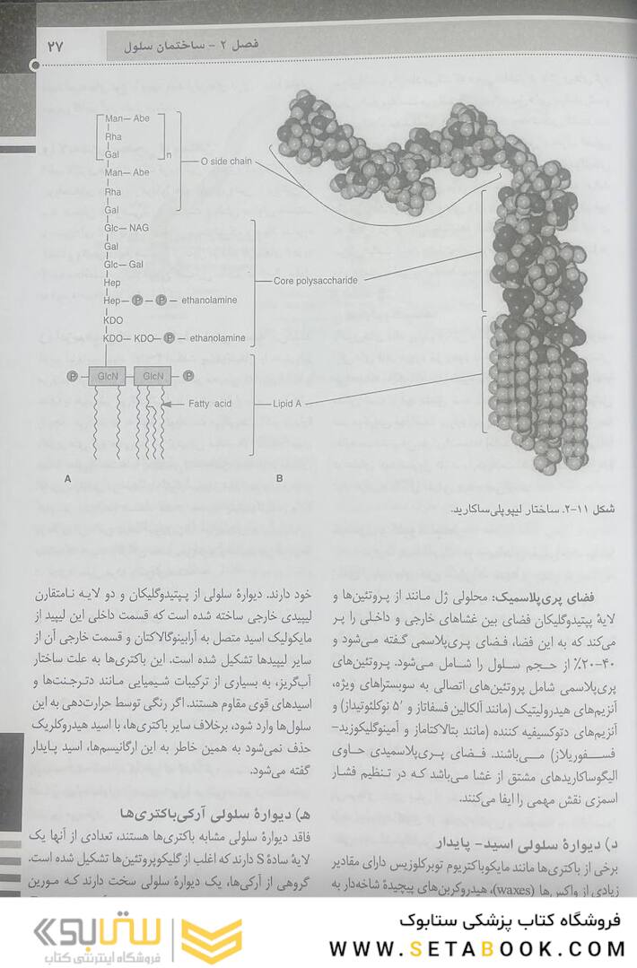QR خلاصه میکروب شناسی پزشکی جاوتز 2019