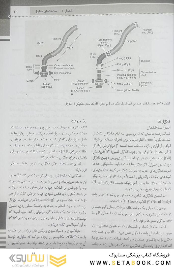 QR خلاصه میکروب شناسی پزشکی جاوتز 2019