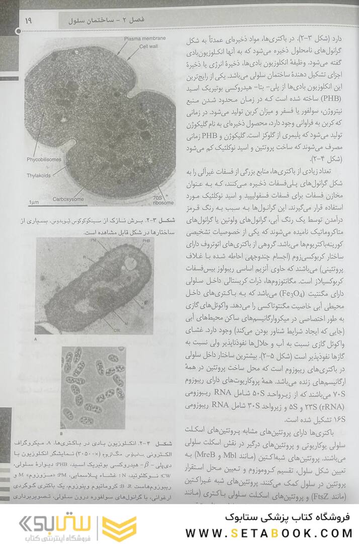 QR خلاصه میکروب شناسی پزشکی جاوتز 2019