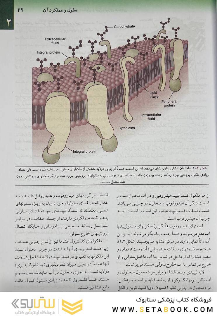 فیزیولوژی پزشکی گایتون 2021 جلد1