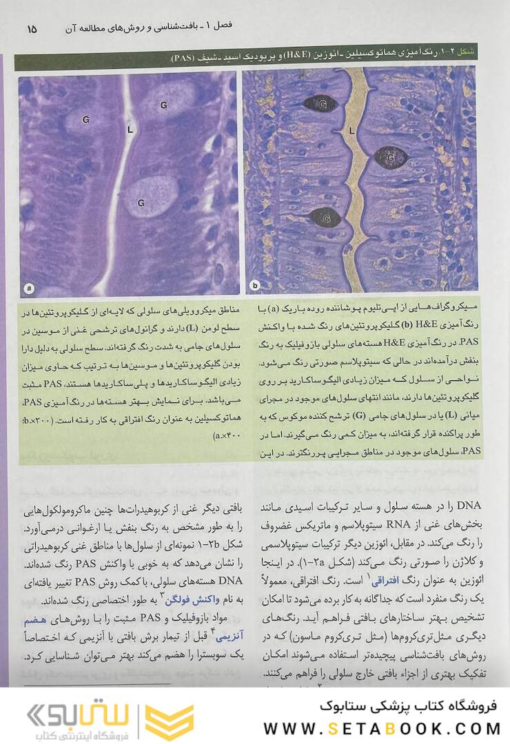 بافت شناسی جان کوئیرا 2021 (شومیز)