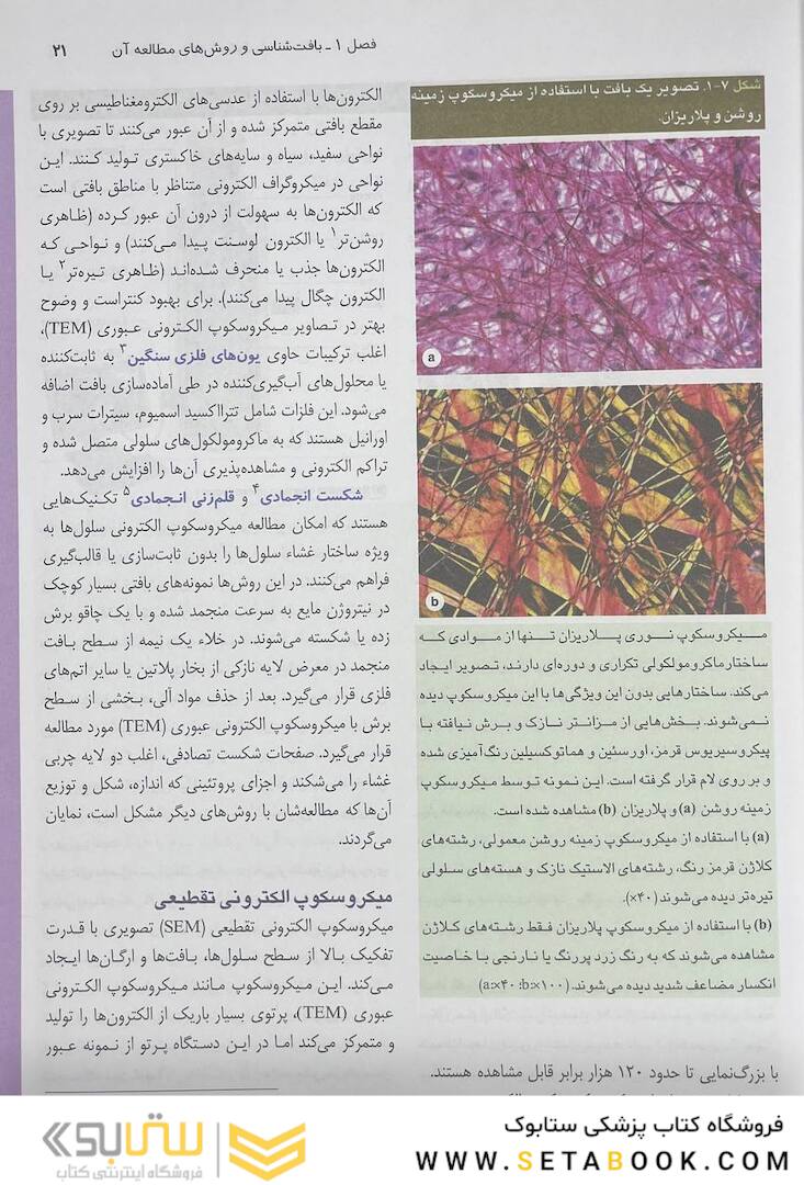 بافت شناسی جان کوئیرا 2021 (شومیز)