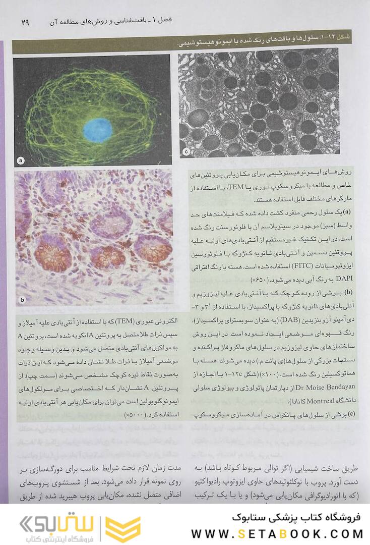 بافت شناسی جان کوئیرا 2021 (شومیز)