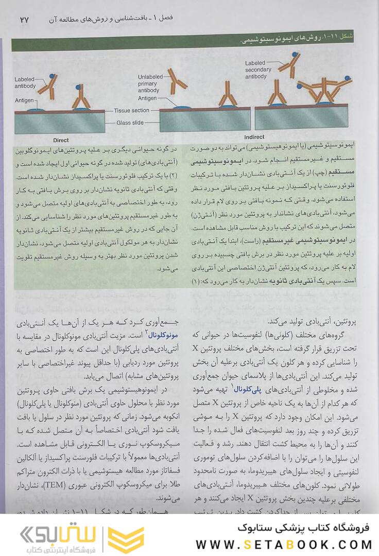 بافت شناسی جان کوئیرا 2021 (هارد)