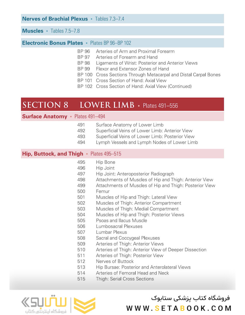 Netter Atlas of Human Anatomy: Classic Regional Approach: (Netter Basic Science) 8th Edition