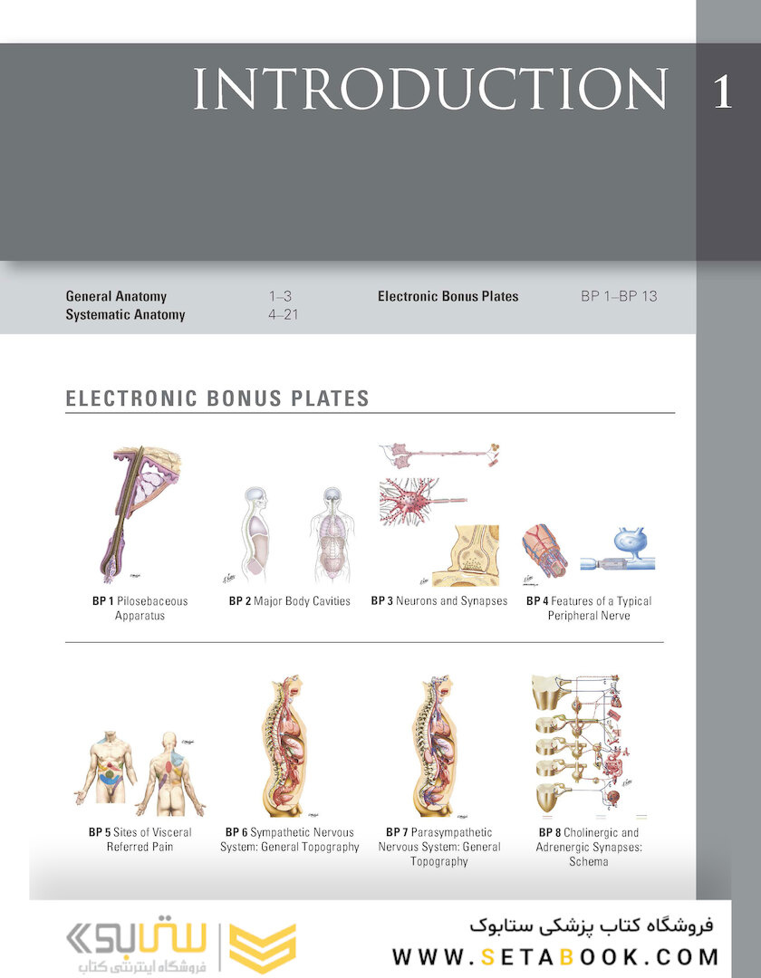 Netter Atlas of Human Anatomy: Classic Regional Approach: (Netter Basic Science) 8th Edition