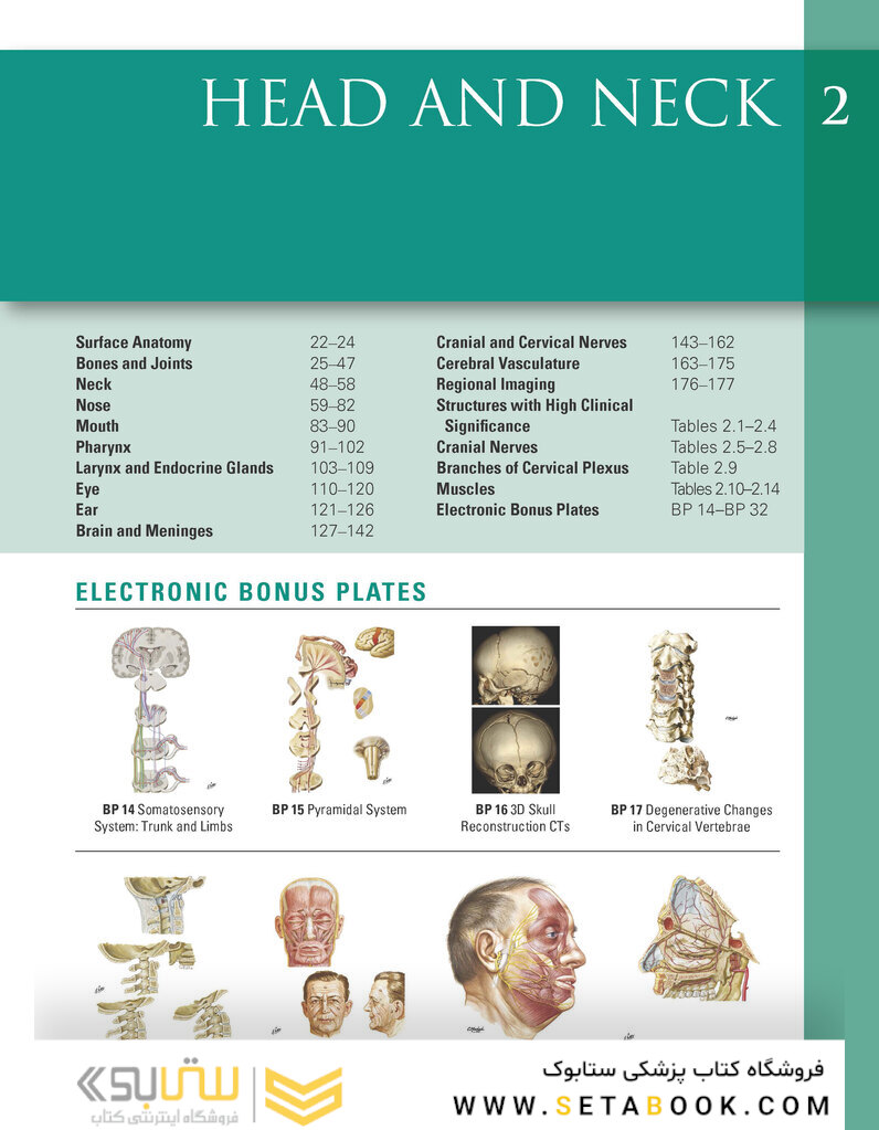 Netter Atlas of Human Anatomy: Classic Regional Approach: (Netter Basic Science) 8th Edition