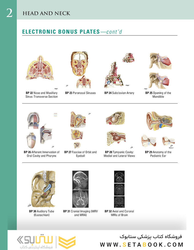 Netter Atlas of Human Anatomy: Classic Regional Approach: (Netter Basic Science) 8th Edition