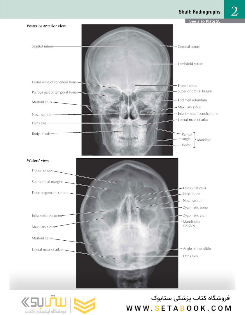 Netter Atlas of Human Anatomy: Classic Regional Approach: (Netter Basic Science) 8th Edition