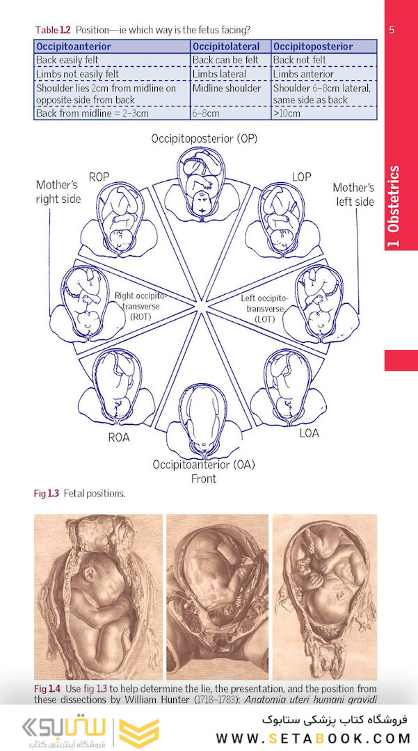 Oxford Handbook of Clinical Specialties, 11th Edition2020