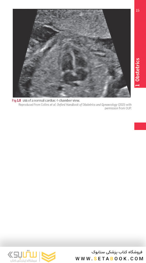 Oxford Handbook of Clinical Specialties, 11th Edition2020