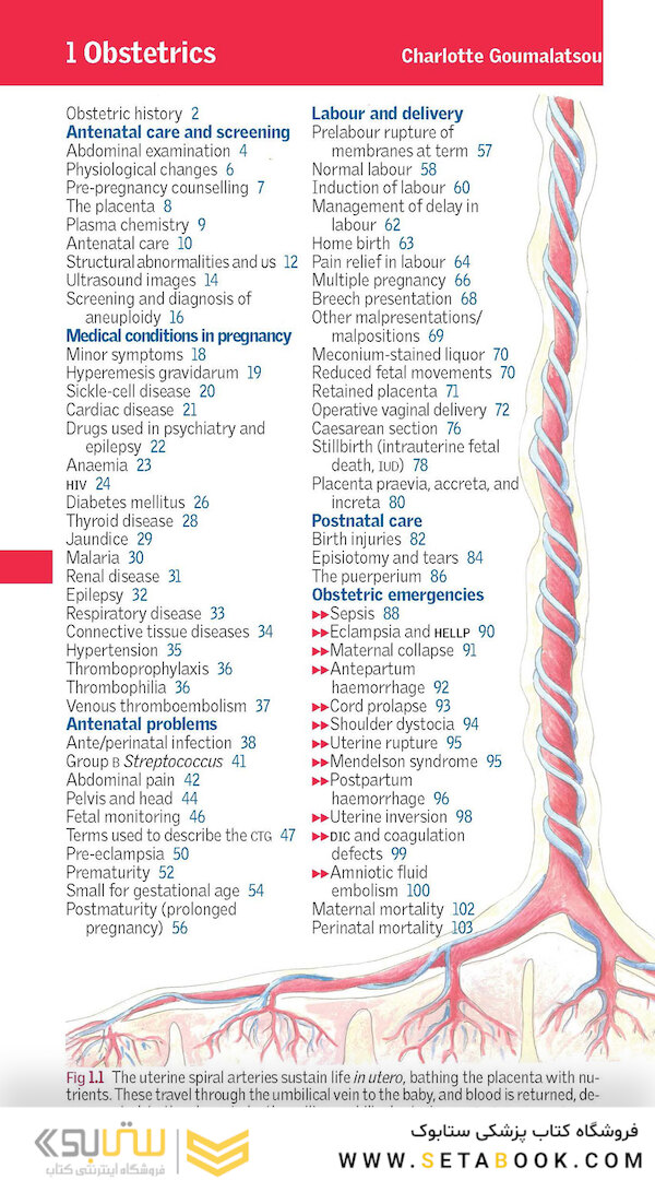 Oxford Handbook of Clinical Specialties, 11th Edition2020