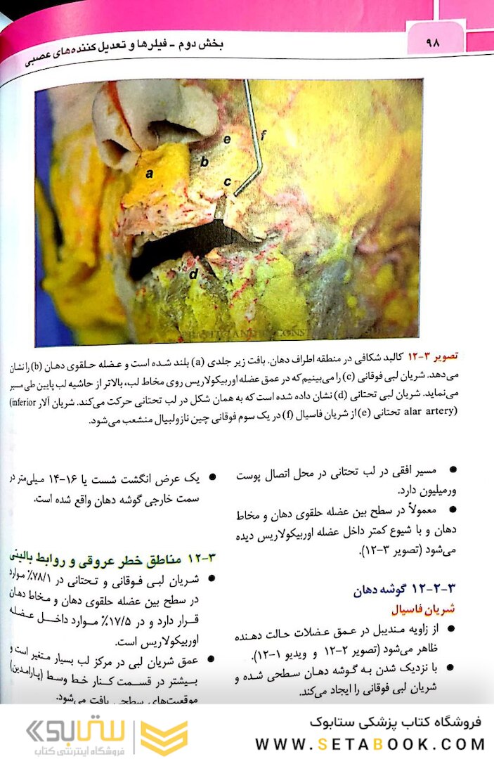 نواحی خطر صورت در پروسیجرهای زیبایی