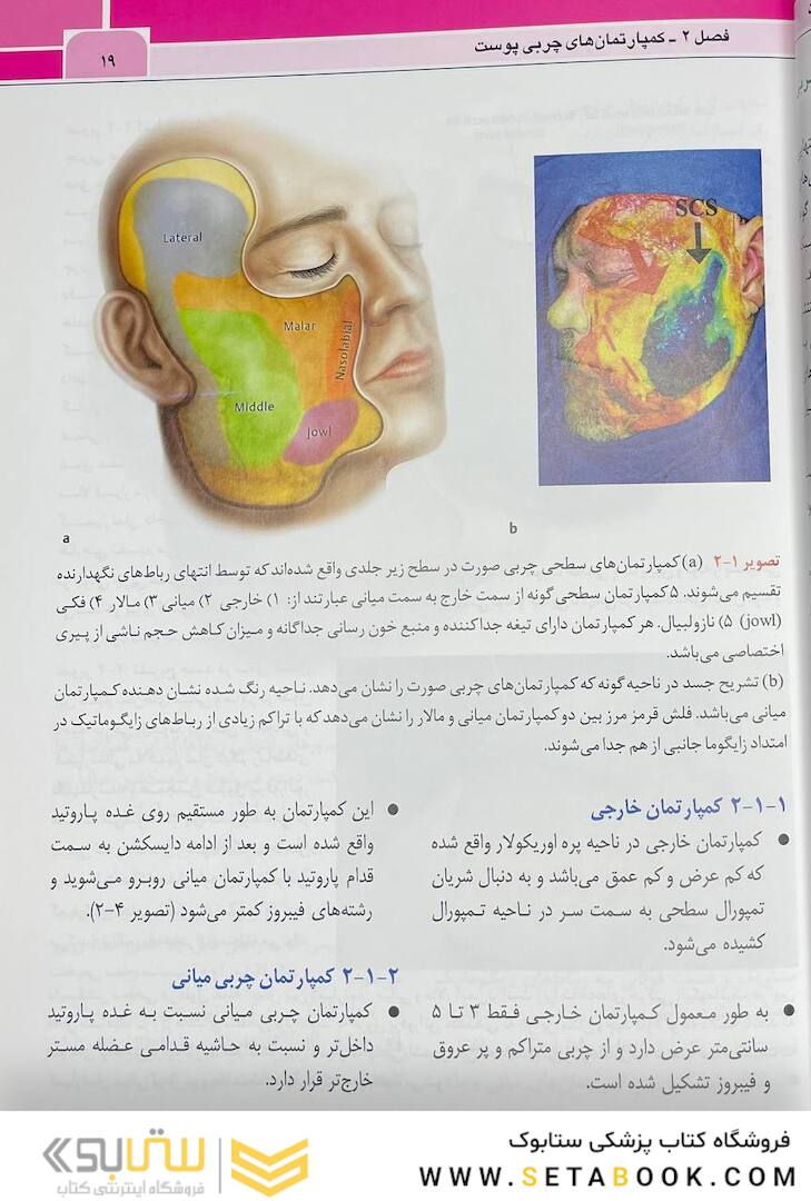 نواحی خطر صورت در پروسیجرهای زیبایی