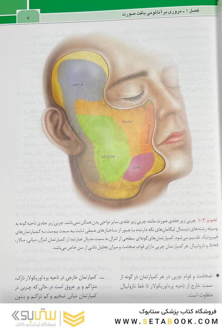 نواحی خطر صورت در پروسیجرهای زیبایی