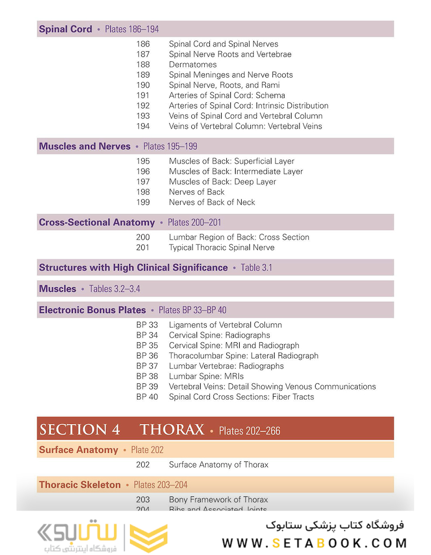 Netter Atlas of Human Anatomy: Classic Regional Approach: (Netter Basic Science) 8th Edition