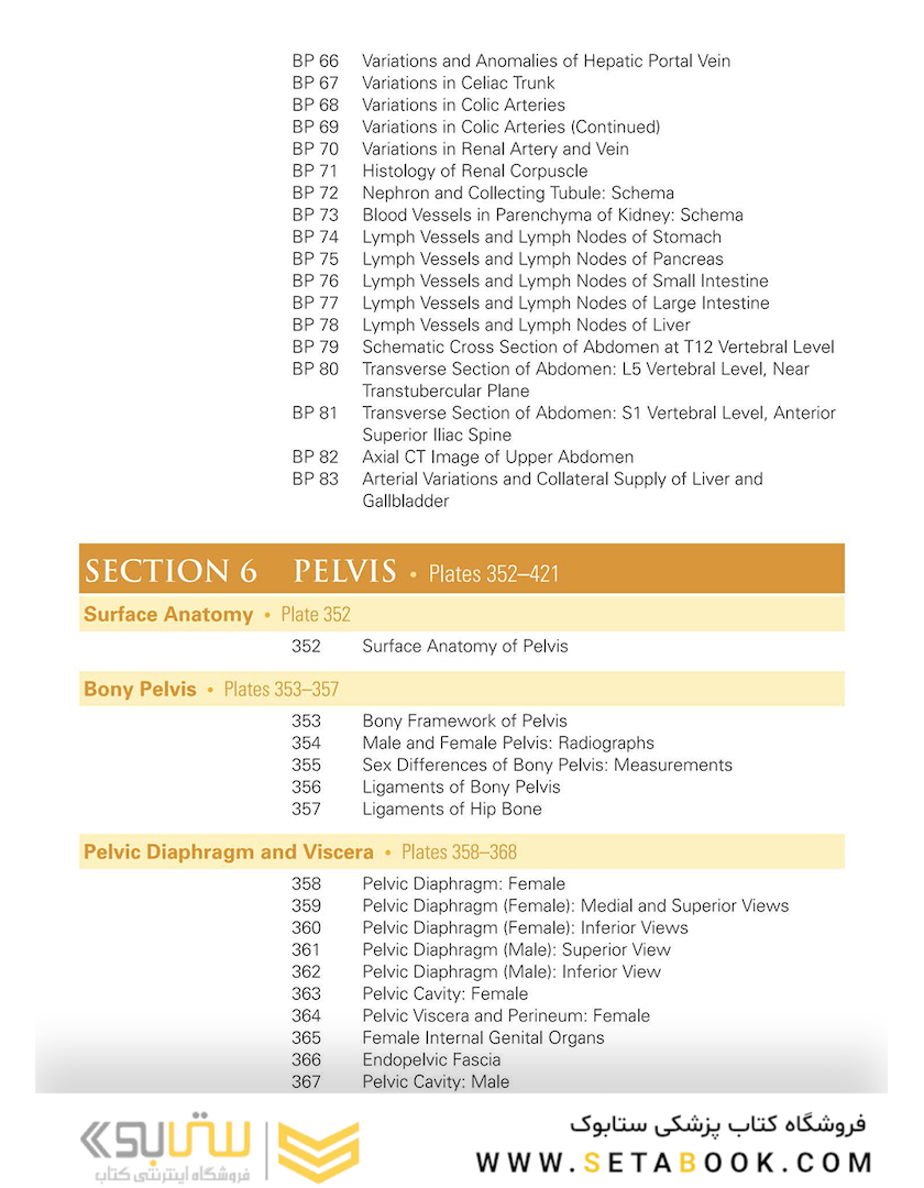 Netter Atlas of Human Anatomy: Classic Regional Approach: (Netter Basic Science) 8th Edition