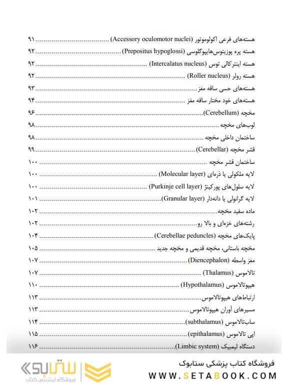 آناتومی دستگاه عصبی