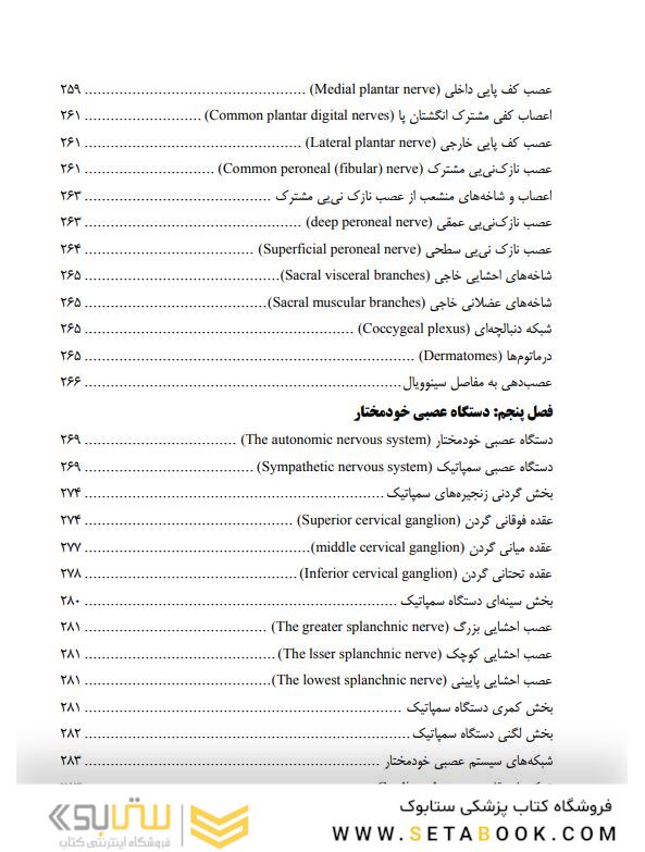 آناتومی دستگاه عصبی