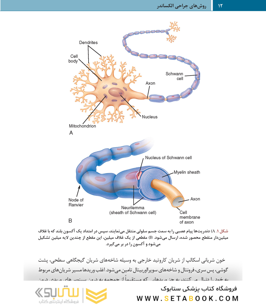 روش های جراحی الکساندر جراحی اعصاب