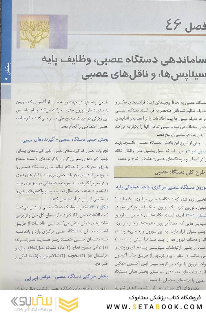 فیزیولوژی پزشکی گایتون و هال 2021 جلد2