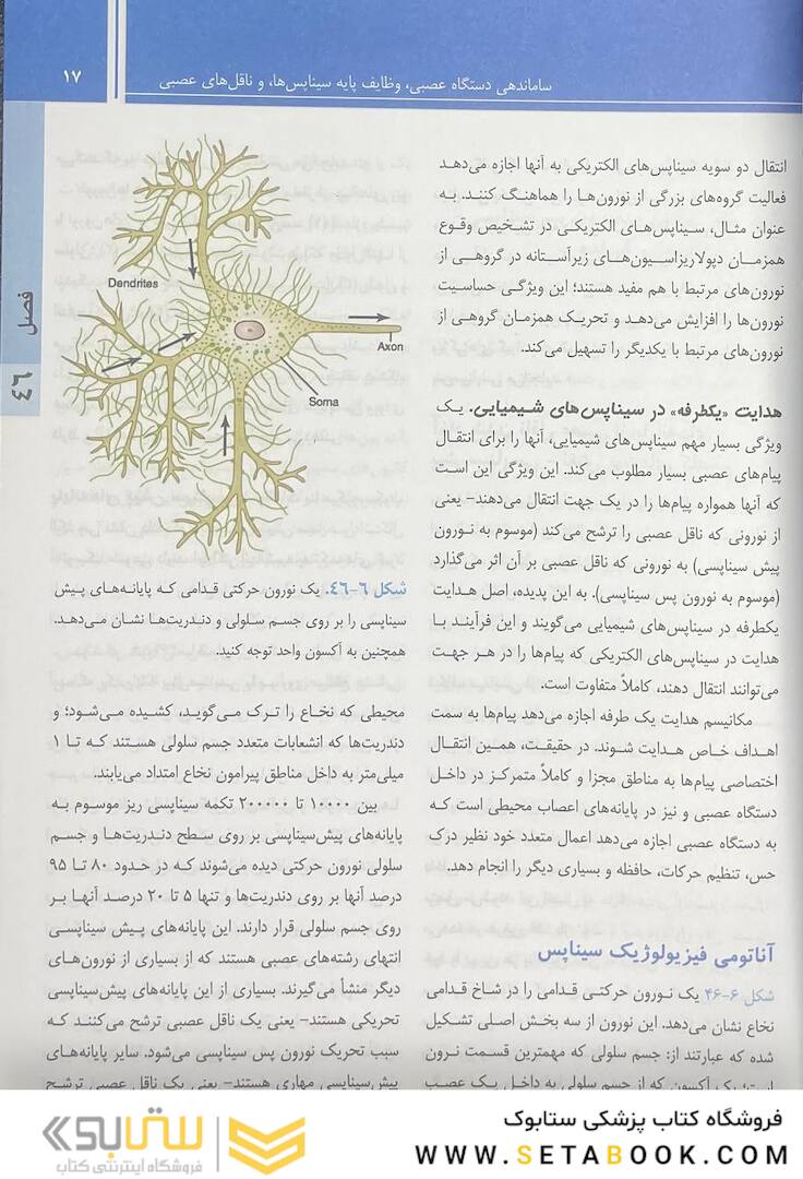 فیزیولوژی پزشکی گایتون و هال 2021 جلد2