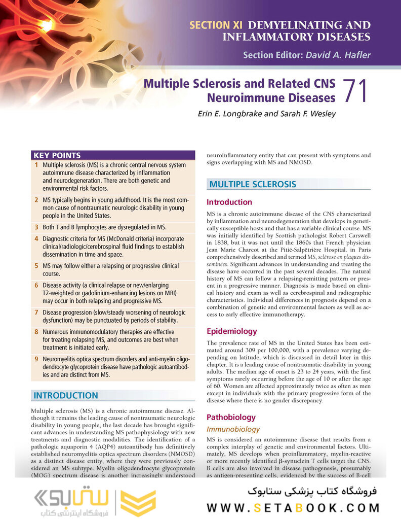Merritt’s Neurology Fourteenth Edition