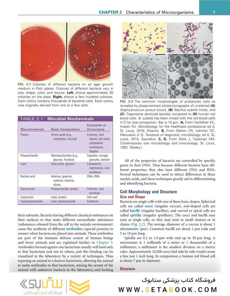 Infection Control and Management of Hazardous Materials for the Dental Team