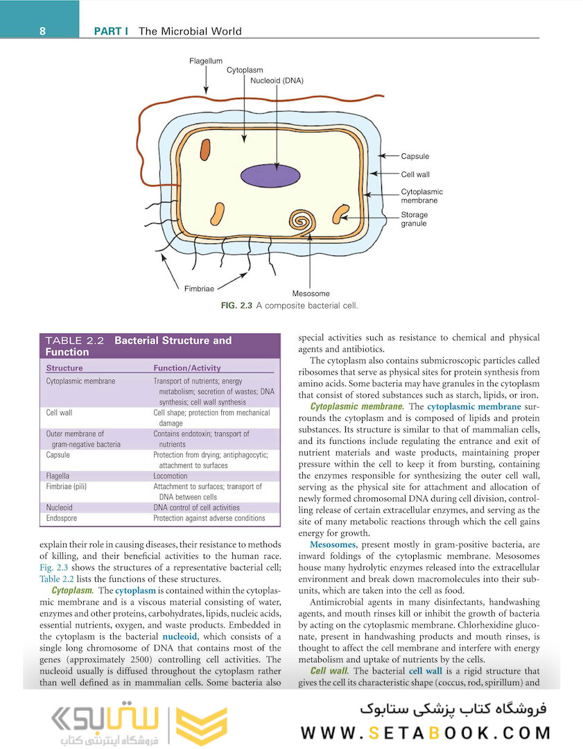 Infection Control and Management of Hazardous Materials for the Dental Team