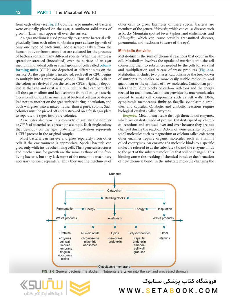 Infection Control and Management of Hazardous Materials for the Dental Team