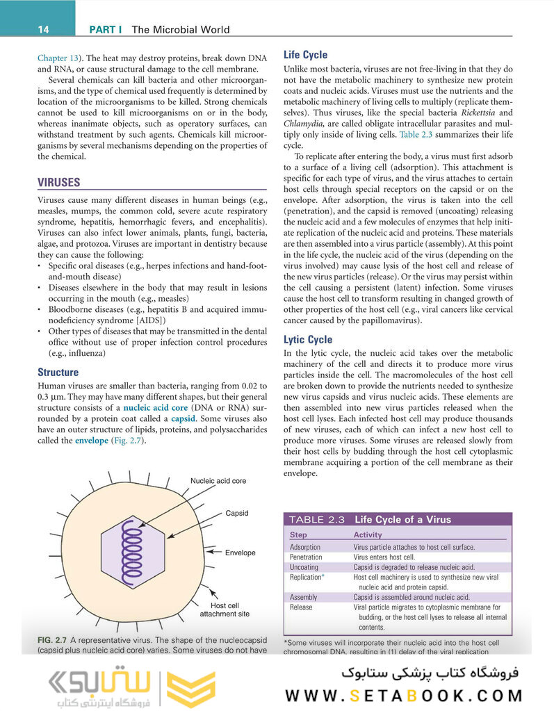 Infection Control and Management of Hazardous Materials for the Dental Team