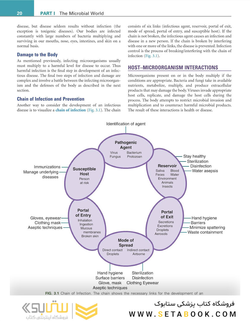 Infection Control and Management of Hazardous Materials for the Dental Team
